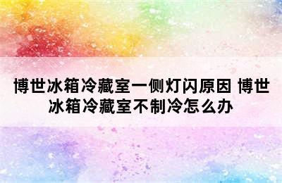 博世冰箱冷藏室一侧灯闪原因 博世冰箱冷藏室不制冷怎么办